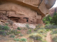 Ruins along Salt Creek